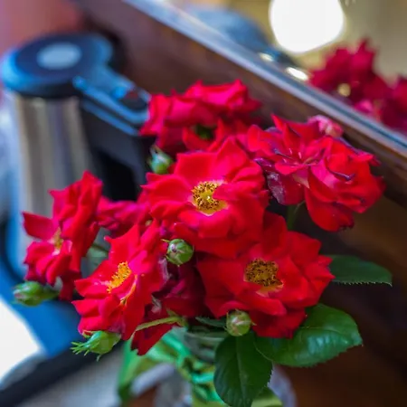 & L'antico Forziere Lantställe *