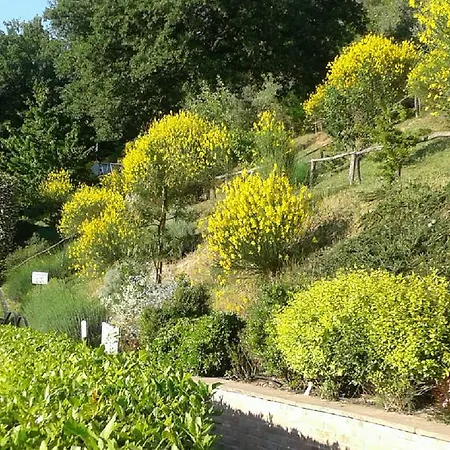 Hotel&spa L'antico Forziere